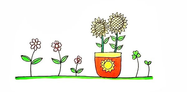 盆栽向日葵的简笔画画法步骤教程 植物-第1张