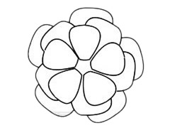 月季花简笔画画法 中级简笔画教程-第5张