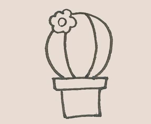 仙人球花简笔画步骤图解教程 中级简笔画教程-第7张