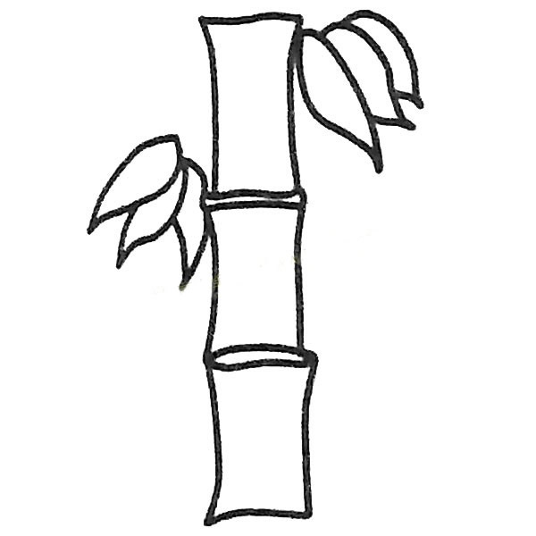 漂亮的竹子简笔画图画 竹子黑白色简笔画 植物-第1张