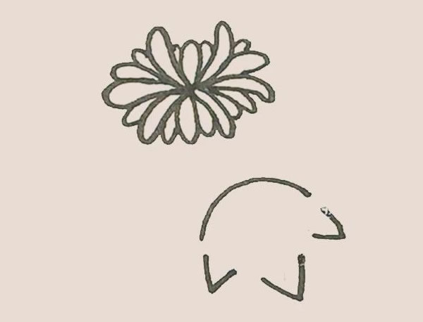 菊花简笔画画法步骤图 中级简笔画教程-第7张