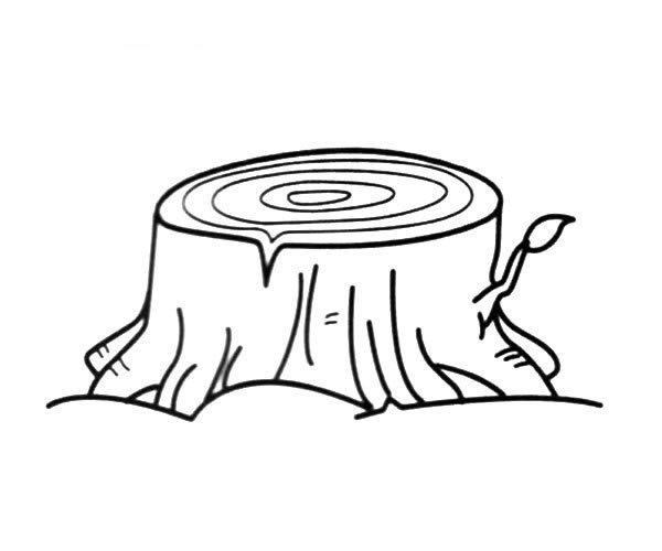 树桩简笔画图画_树桩的简单画法 植物-第1张