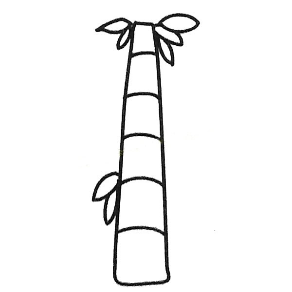 漂亮的竹子简笔画图画 竹子黑白色简笔画 植物-第4张