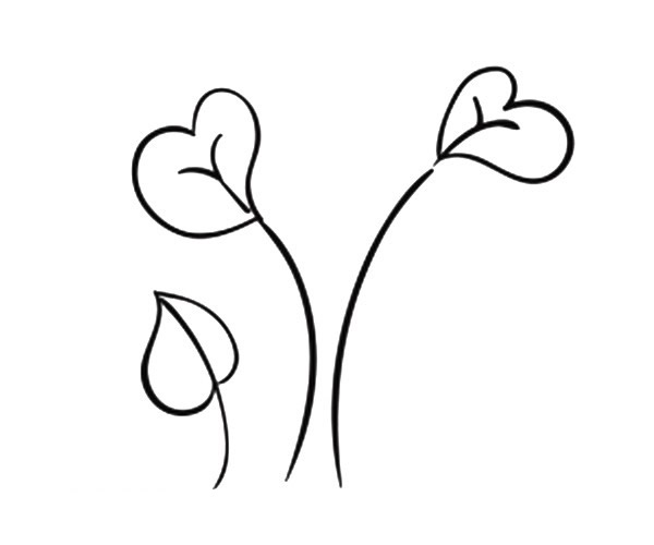 9款漂亮的叶子简笔画图画 叶子的简单画法大全 植物-第7张