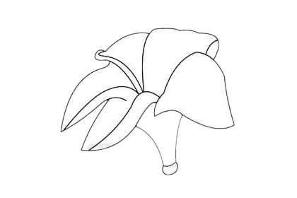 鸡蛋花分步骤简笔画画法 初级简笔画教程-第9张