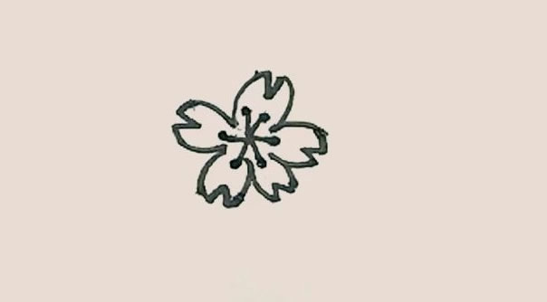 桃花简笔画的画法步骤图解教程 中级简笔画教程-第5张