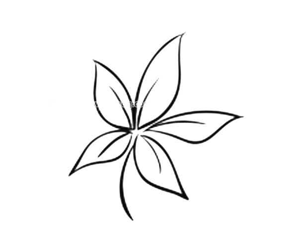 9款漂亮的叶子简笔画图画 叶子的简单画法大全 植物-第6张