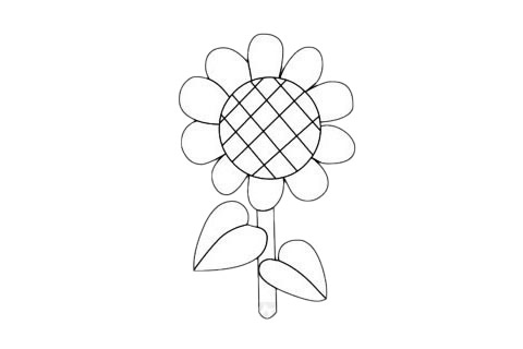 向日葵简笔画简单画法步骤教程及图片大全