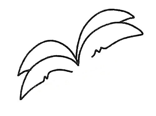椰子树简笔画 椰子树怎么画 中级简笔画教程-第3张