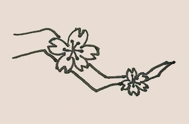 桃花简笔画的画法步骤图解教程 中级简笔画教程-第8张