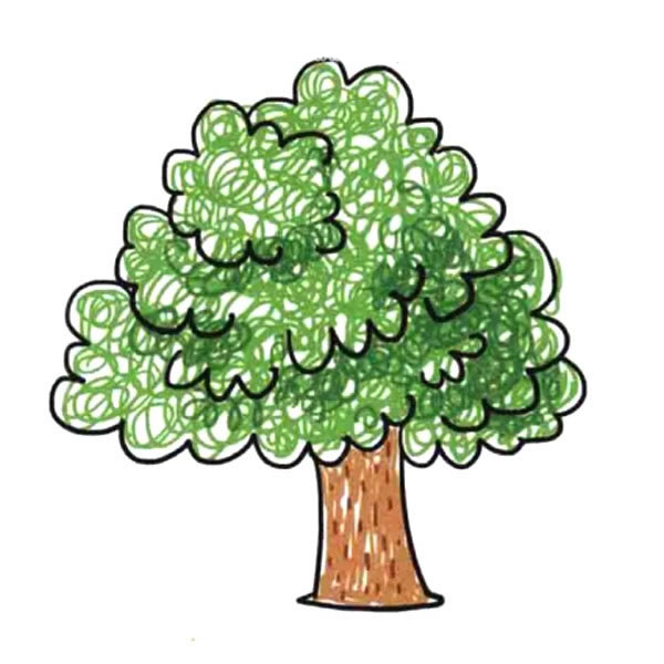 【大树简笔画图画带颜色】涂颜色的茂盛大树简笔画图画 植物-第1张