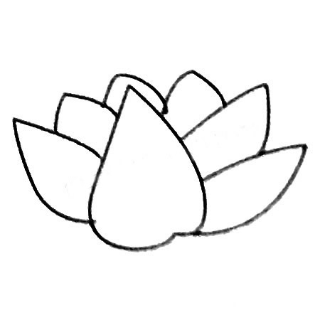 黑白色多肉植物简笔画线稿 初级简笔画教程-第5张