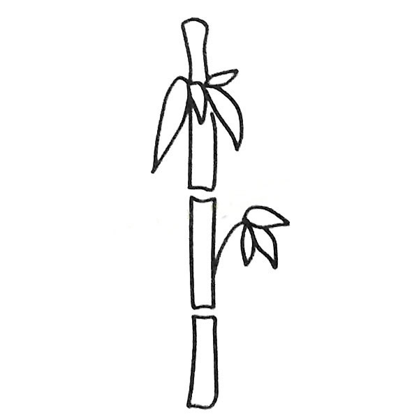 漂亮的竹子简笔画图画 竹子黑白色简笔画 植物-第6张