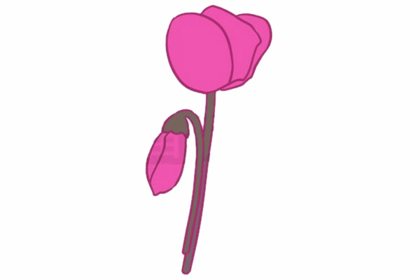 仙客来鲜花简笔画的画法 初级简笔画教程-第5张