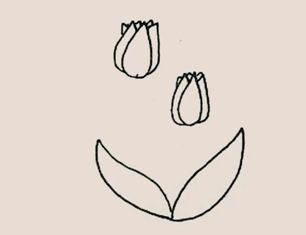 郁金香简笔画的画法图解 中级简笔画教程-第6张