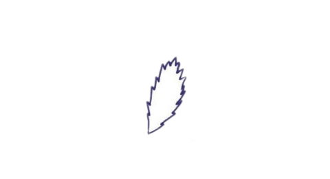 儿童简笔画薰衣草彩色画法 中级简笔画教程-第2张