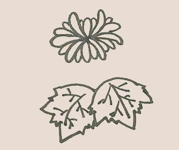 菊花简笔画画法步骤图 中级简笔画教程-第9张