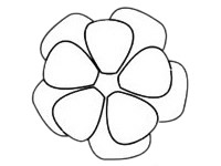 月季花简笔画画法 中级简笔画教程-第4张