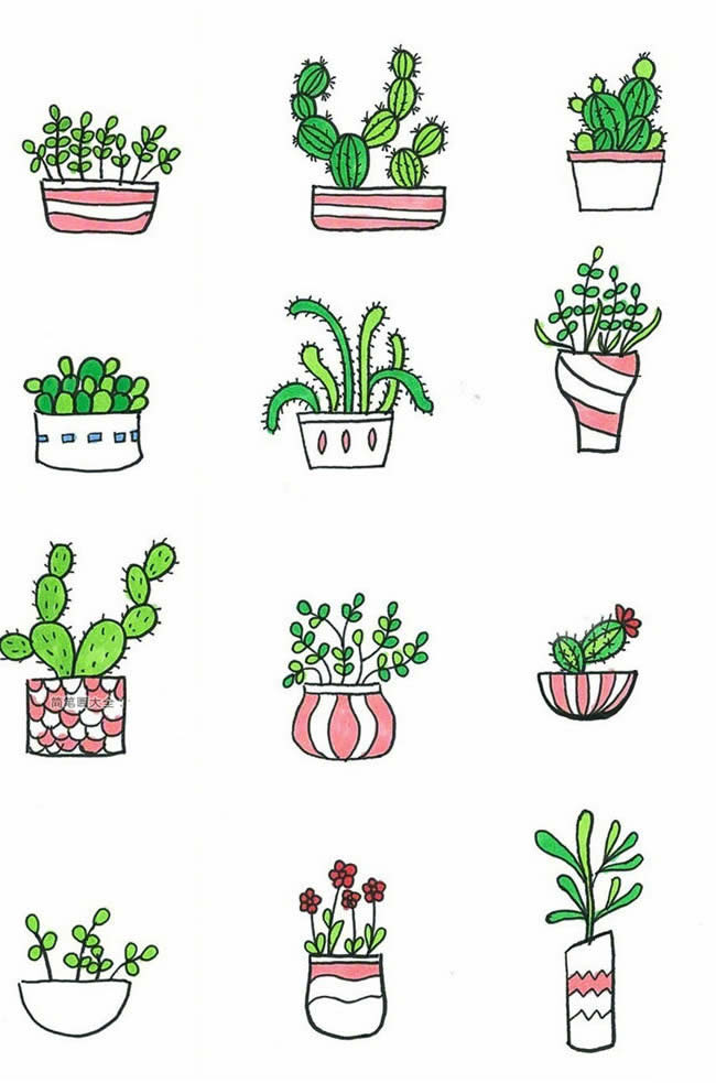 彩色手绘可爱盆栽植物简笔画图画 中级简笔画教程-第1张
