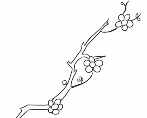 一支梅花简笔画画法步骤 中级简笔画教程-第1张