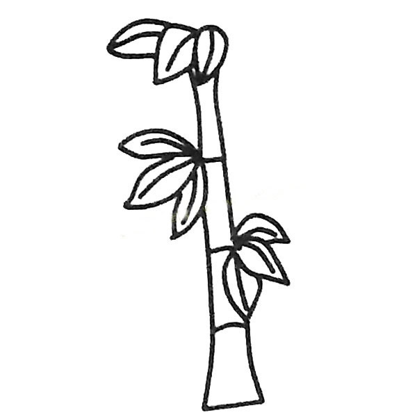漂亮的竹子简笔画图画 竹子黑白色简笔画 植物-第2张