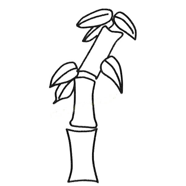 漂亮的竹子简笔画图画 竹子黑白色简笔画 植物-第5张