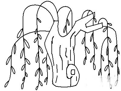 春天的柳树简笔画图画大全 小燕子垂柳简笔画 植物-第3张