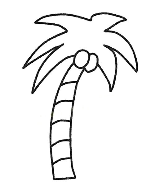 椰子树简笔画 简笔画大海椰子树 中级简笔画教程-第2张