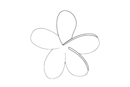 鸡蛋花分步骤简笔画画法 初级简笔画教程-第11张