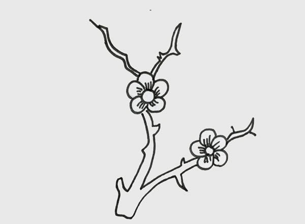 树枝上的梅花简笔画 初级简笔画教程-第3张