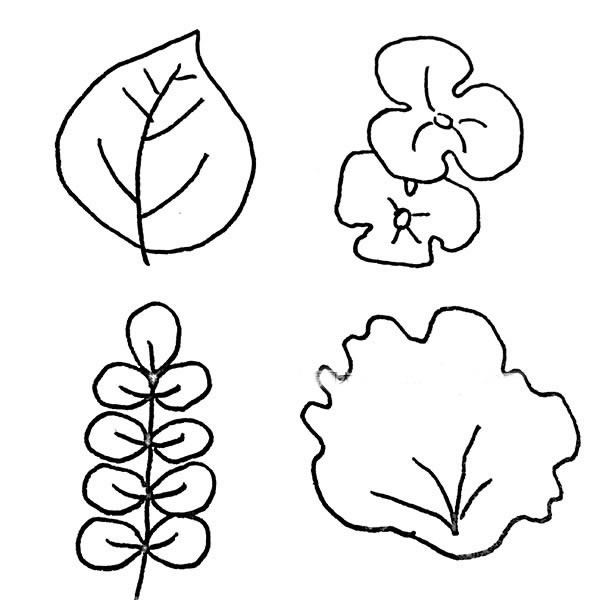 36种树叶的画法简笔画图画 中级简笔画教程-第2张