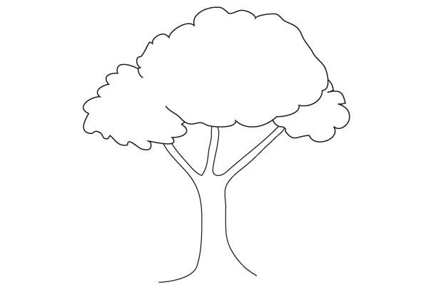 简单四步画出大树简笔画步骤图教程 植物-第5张