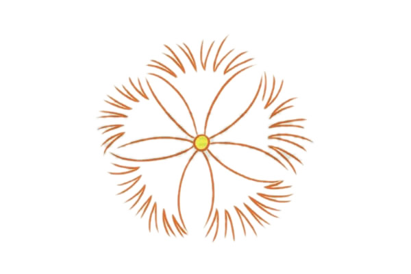 石竹花简笔画的画法 初级简笔画教程-第5张