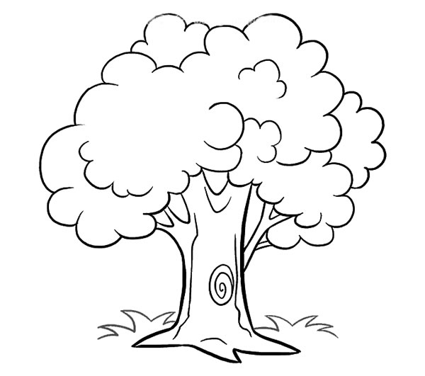 【茂盛的大树画法步骤】茂盛的大树简笔画图画大全 植物-第1张
