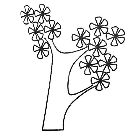 松树的多种画法-松树简笔画图画大全 植物-第6张
