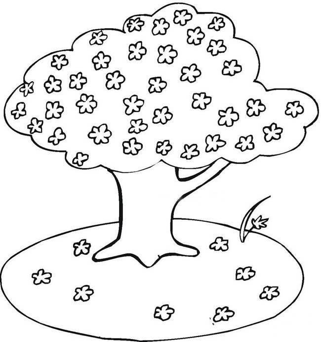 盛开的樱花树简笔画图画_大树简笔画 植物-第1张