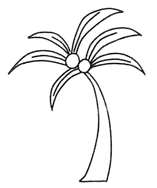 椰子树简笔画 简笔画大海椰子树 中级简笔画教程-第5张