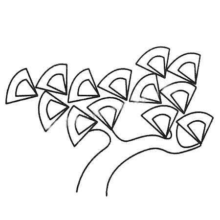 松树的多种画法-松树简笔画图画大全 植物-第8张