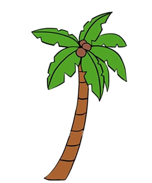 树木简笔画 椰子树线描画 中级简笔画教程-第2张