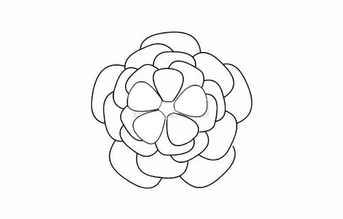 月季花简笔画画法 中级简笔画教程-第6张