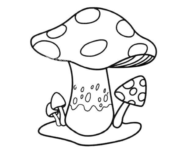 大蘑菇小蘑菇简笔画图画_蘑菇的简单画法 植物-第1张