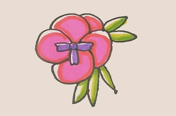 三色堇花朵简笔画的画法 中级简笔画教程-第1张