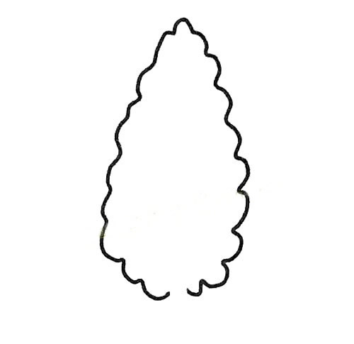 黑白色白杨树简笔画图片 植物-第3张