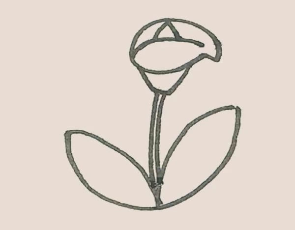 马蹄莲植物简笔画 中级简笔画教程-第5张