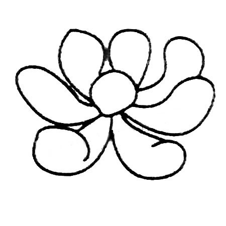 黑白色多肉植物简笔画线稿 初级简笔画教程-第3张
