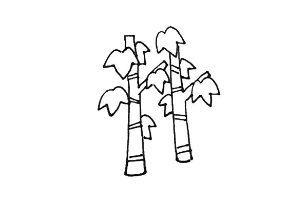 枫树简笔画,枫树的画法 中级简笔画教程-第8张