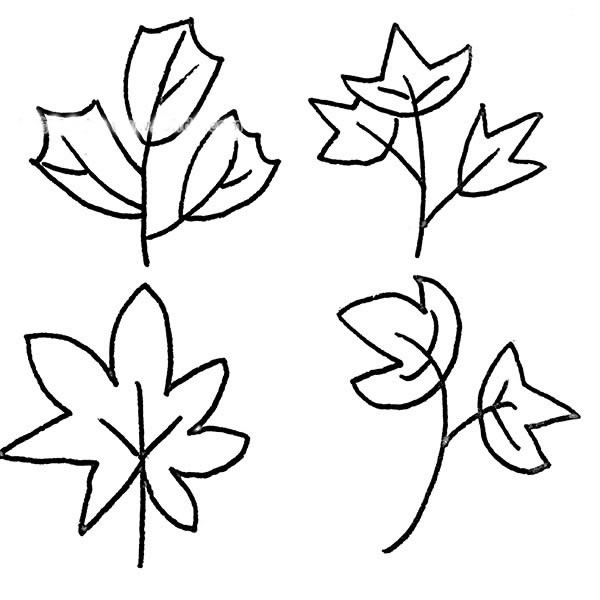 36种树叶的画法简笔画图画 中级简笔画教程-第3张
