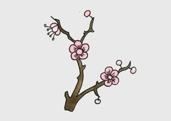 树枝上的梅花简笔画 初级简笔画教程-第1张