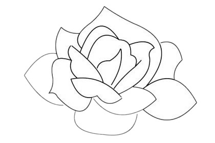 月季花简笔画画法 中级简笔画教程-第8张