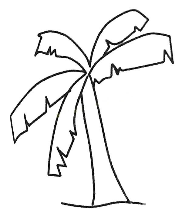 少儿简笔画大全 漂亮的芭蕉树简笔画图画 植物-第1张